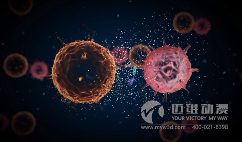 三維動畫給醫(yī)學(xué)領(lǐng)域帶來哪些便利？(圖3)