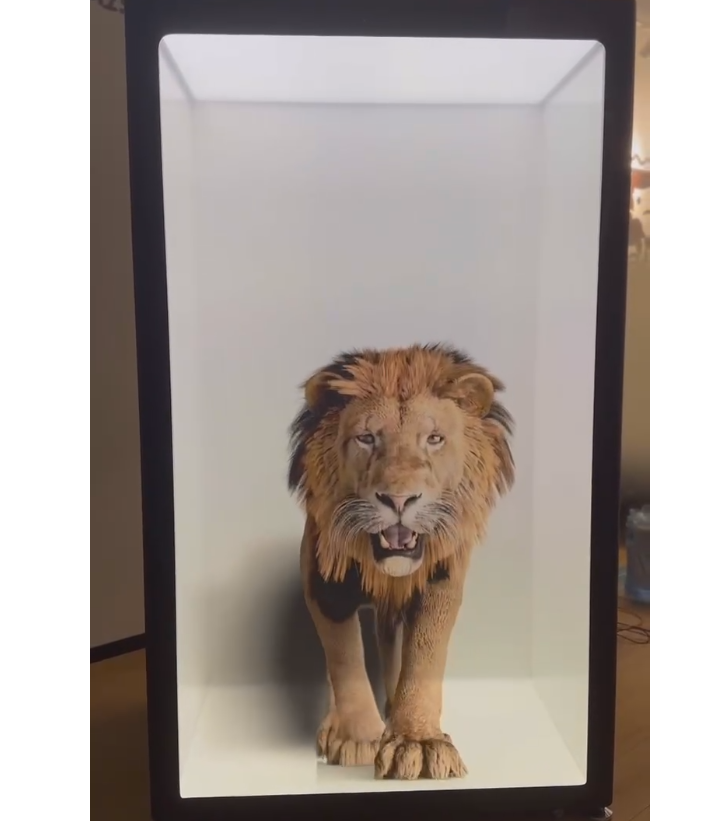 吸睛的3D全息投影帶來全新的視聽盛宴，這些應(yīng)用領(lǐng)域早知道！(圖1)