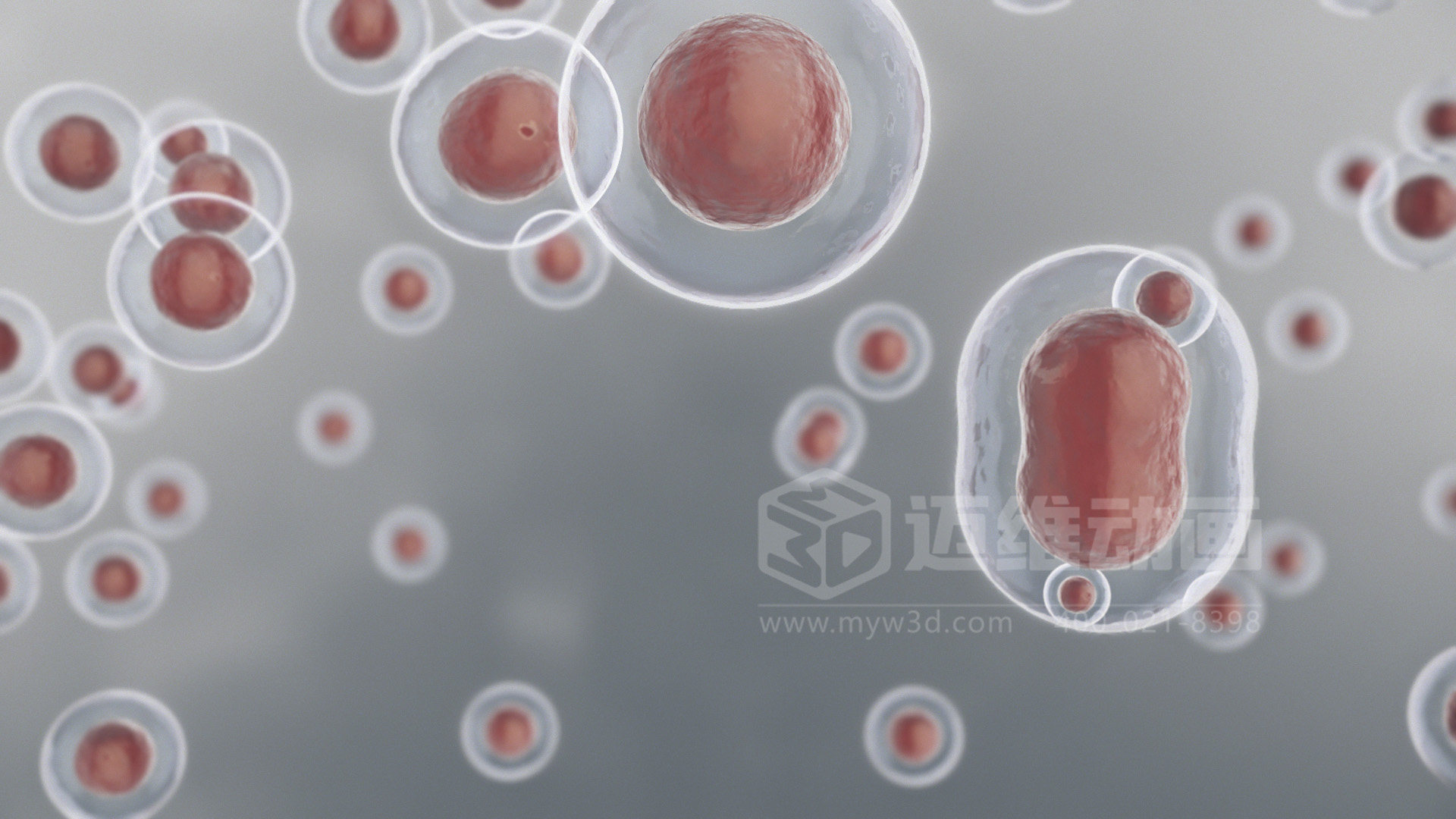 技術(shù)太復(fù)雜，講不明白？用 3D 動畫為您的生物科技產(chǎn)品打造 “視覺說明書”(圖3)