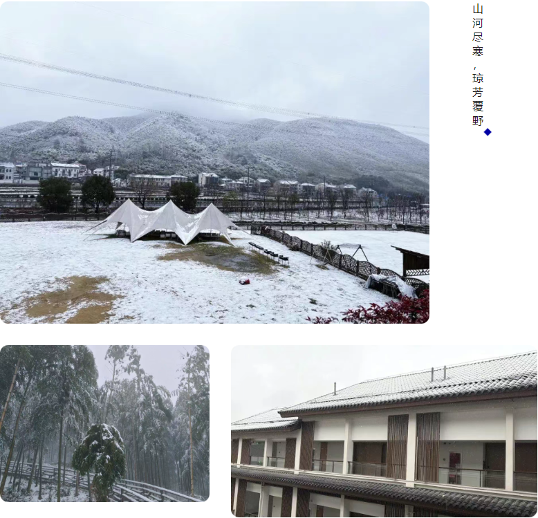 15載同行，感恩有你！2026莫干山年會(huì)的那些溫暖瞬間(圖9)